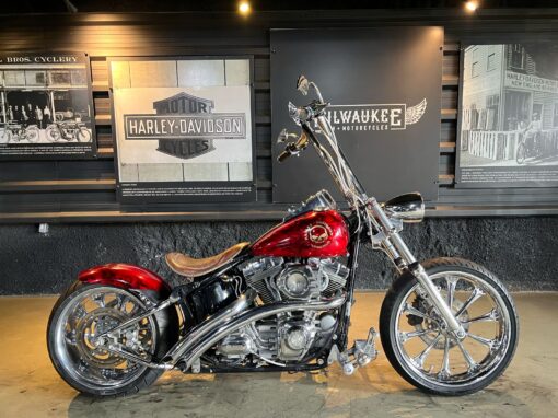 SOFTAIL CUSTOMIZADA